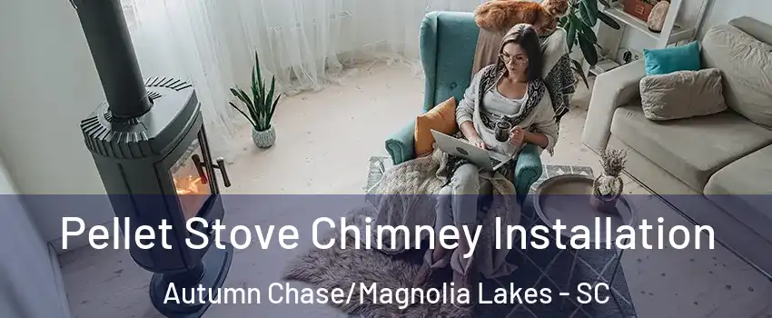 Pellet Stove Chimney Installation Autumn Chase/Magnolia Lakes - SC