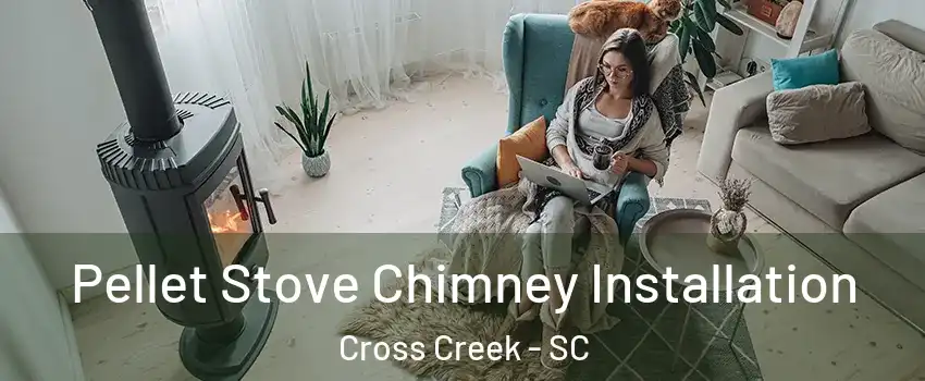 Pellet Stove Chimney Installation Cross Creek - SC