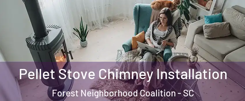 Pellet Stove Chimney Installation Forest Neighborhood Coalition - SC