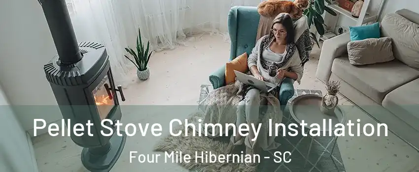 Pellet Stove Chimney Installation Four Mile Hibernian - SC