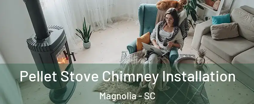 Pellet Stove Chimney Installation Magnolia - SC