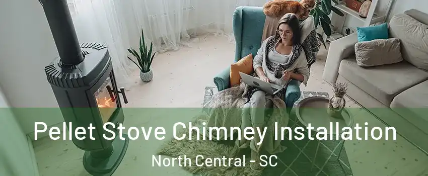 Pellet Stove Chimney Installation North Central - SC