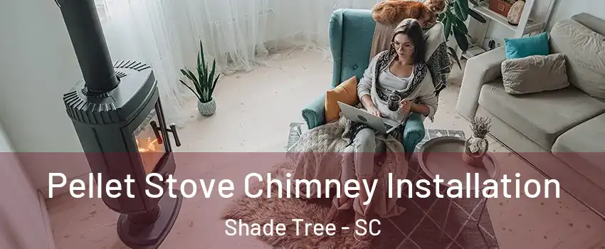 Pellet Stove Chimney Installation Shade Tree - SC