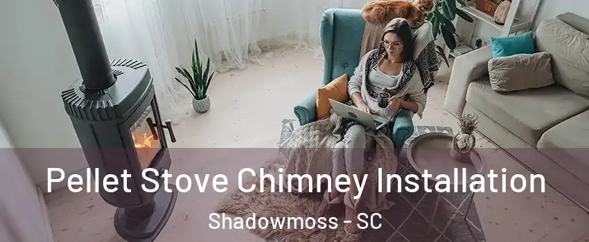 Pellet Stove Chimney Installation Shadowmoss - SC