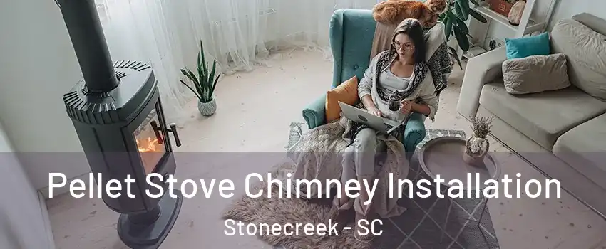 Pellet Stove Chimney Installation Stonecreek - SC