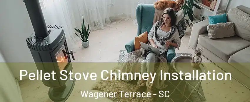 Pellet Stove Chimney Installation Wagener Terrace - SC