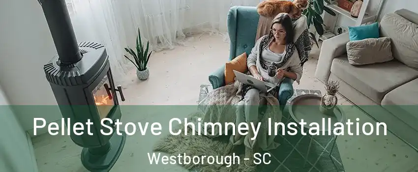 Pellet Stove Chimney Installation Westborough - SC