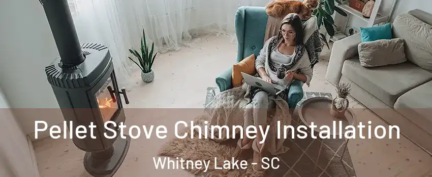 Pellet Stove Chimney Installation Whitney Lake - SC