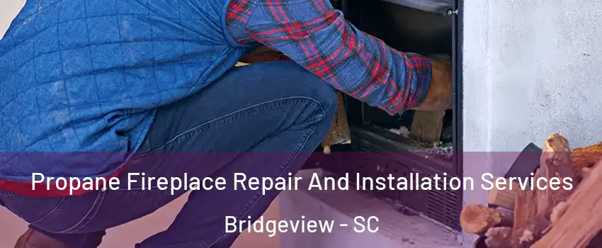 Propane Fireplace Repair And Installation Services Bridgeview - SC