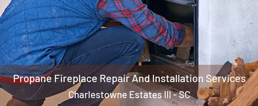 Propane Fireplace Repair And Installation Services Charlestowne Estates III - SC