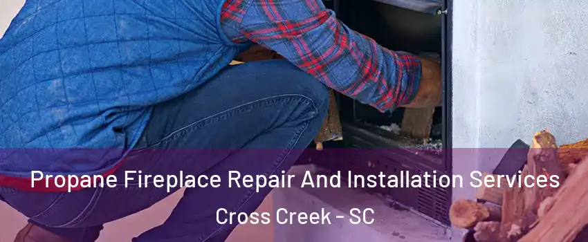 Propane Fireplace Repair And Installation Services Cross Creek - SC