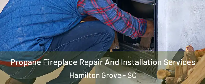 Propane Fireplace Repair And Installation Services Hamilton Grove - SC