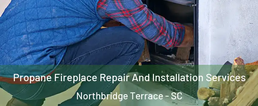 Propane Fireplace Repair And Installation Services Northbridge Terrace - SC