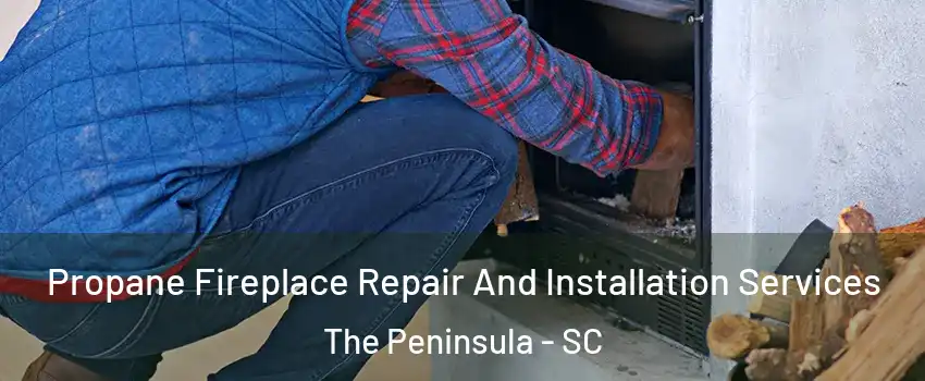 Propane Fireplace Repair And Installation Services The Peninsula - SC