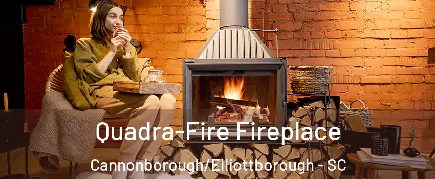 Quadra-Fire Fireplace Cannonborough/Elliottborough - SC