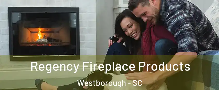 Regency Fireplace Products Westborough - SC