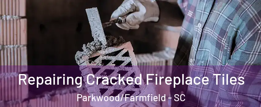 Repairing Cracked Fireplace Tiles Parkwood/Farmfield - SC