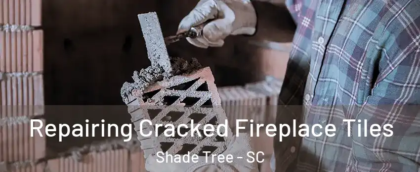 Repairing Cracked Fireplace Tiles Shade Tree - SC