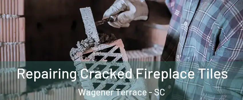 Repairing Cracked Fireplace Tiles Wagener Terrace - SC