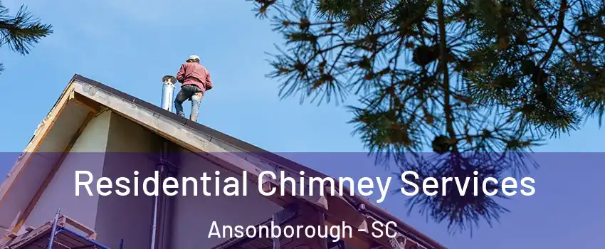 Residential Chimney Services Ansonborough - SC