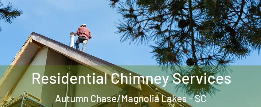 Residential Chimney Services Autumn Chase/Magnolia Lakes - SC