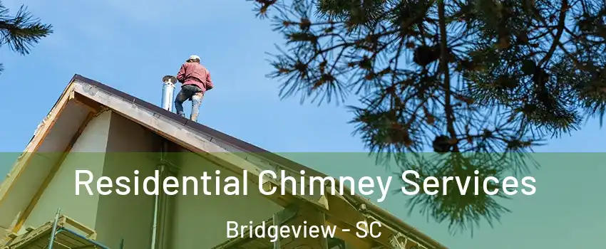 Residential Chimney Services Bridgeview - SC