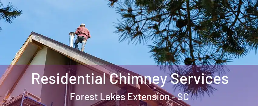 Residential Chimney Services Forest Lakes Extension - SC