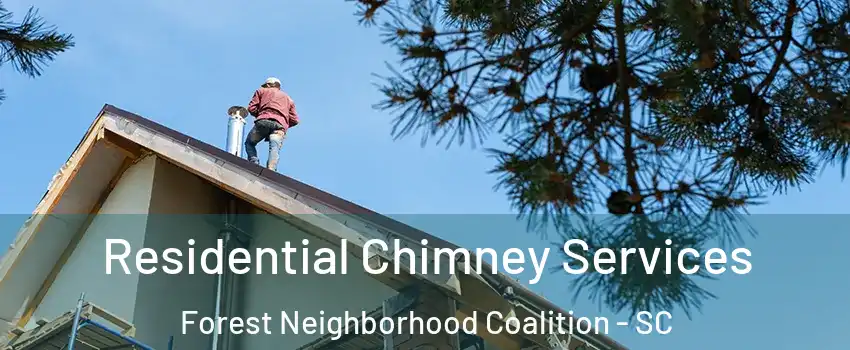 Residential Chimney Services Forest Neighborhood Coalition - SC