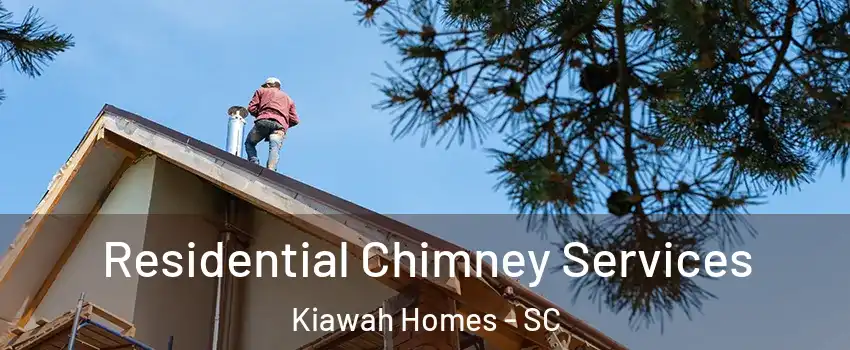 Residential Chimney Services Kiawah Homes - SC