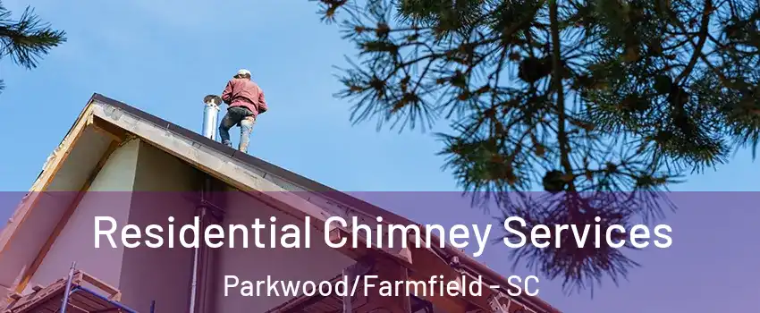 Residential Chimney Services Parkwood/Farmfield - SC