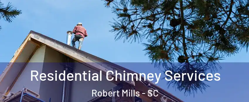 Residential Chimney Services Robert Mills - SC