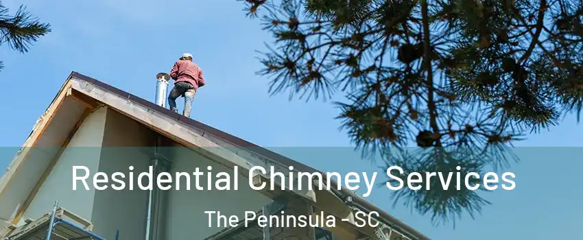 Residential Chimney Services The Peninsula - SC