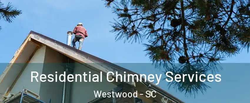 Residential Chimney Services Westwood - SC