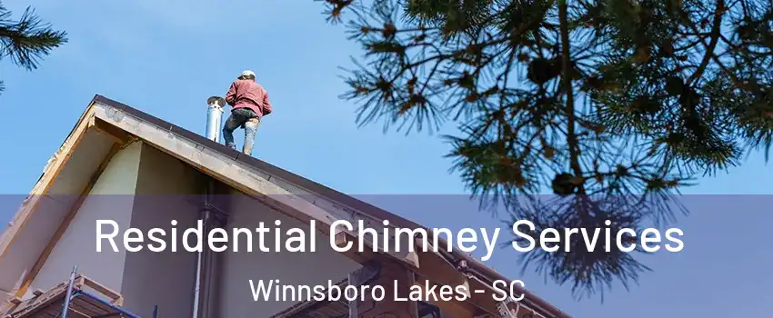 Residential Chimney Services Winnsboro Lakes - SC