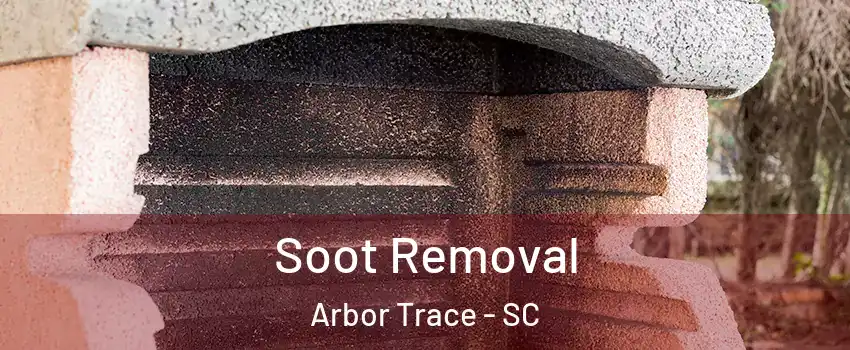 Soot Removal Arbor Trace - SC