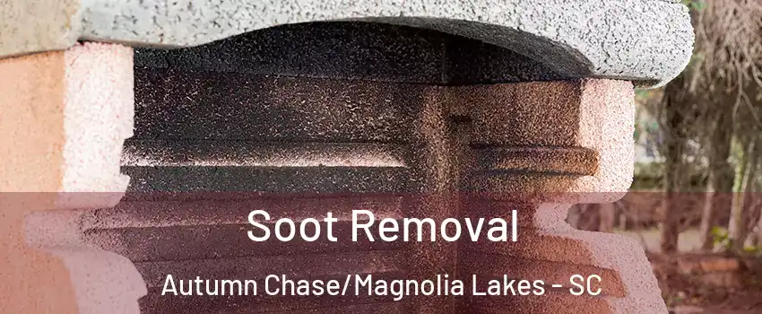 Soot Removal Autumn Chase/Magnolia Lakes - SC