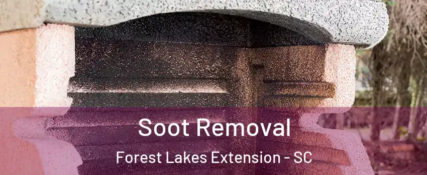 Soot Removal Forest Lakes Extension - SC