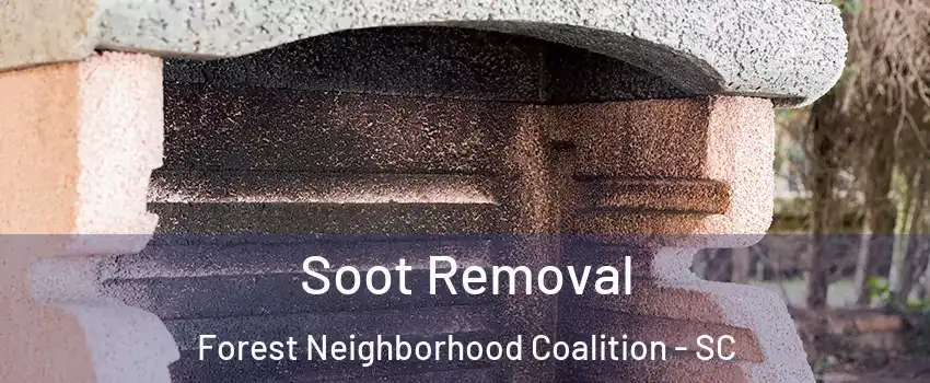 Soot Removal Forest Neighborhood Coalition - SC