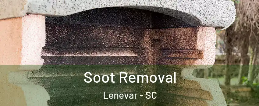 Soot Removal Lenevar - SC