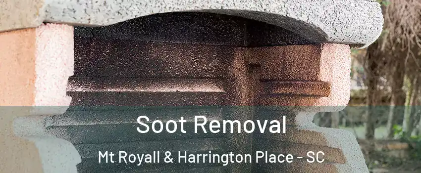 Soot Removal Mt Royall & Harrington Place - SC