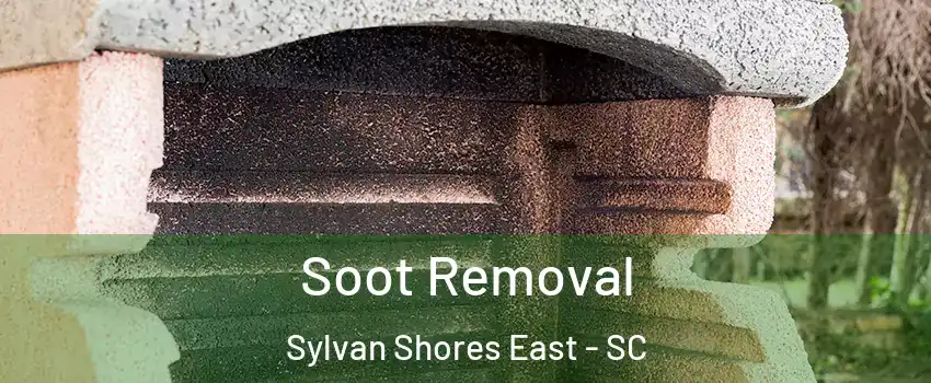 Soot Removal Sylvan Shores East - SC