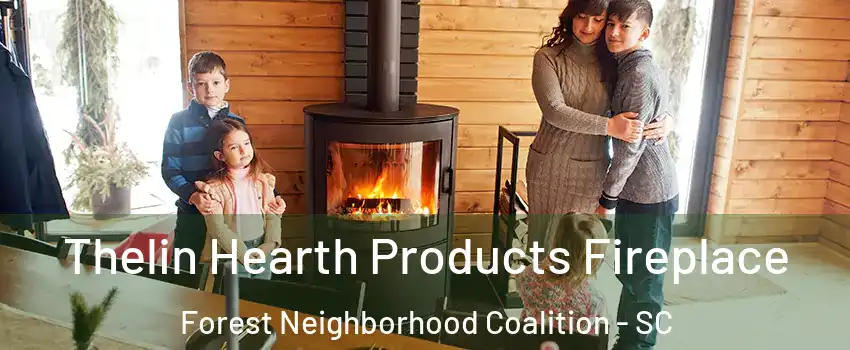 Thelin Hearth Products Fireplace Forest Neighborhood Coalition - SC