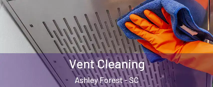 Vent Cleaning Ashley Forest - SC