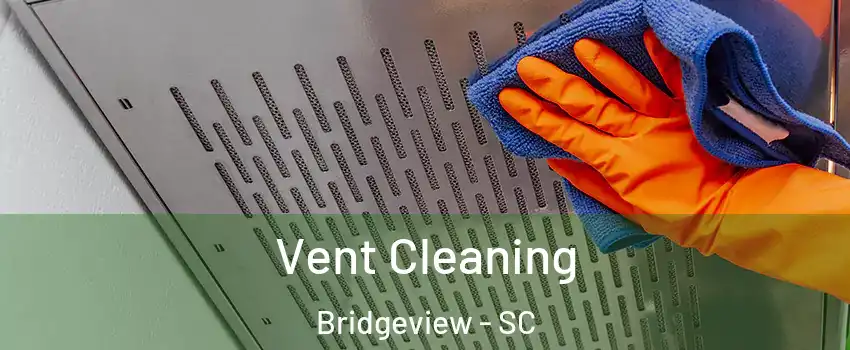 Vent Cleaning Bridgeview - SC