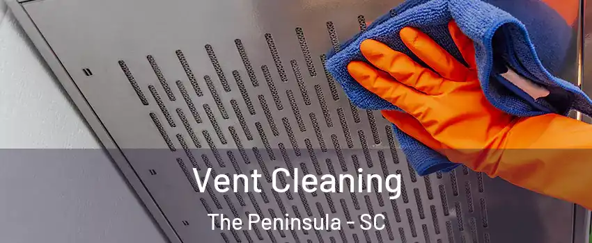 Vent Cleaning The Peninsula - SC