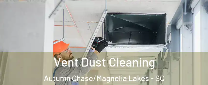 Vent Dust Cleaning Autumn Chase/Magnolia Lakes - SC