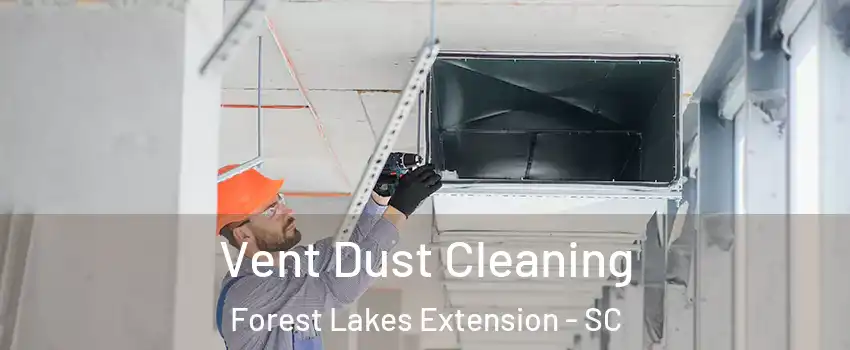 Vent Dust Cleaning Forest Lakes Extension - SC