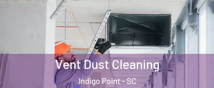 Vent Dust Cleaning Indigo Point - SC