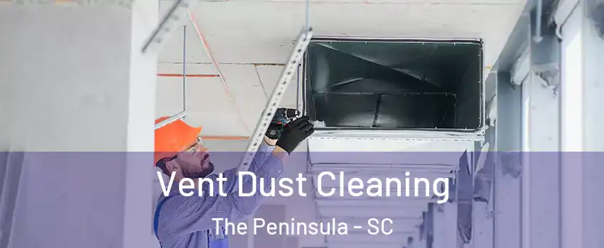 Vent Dust Cleaning The Peninsula - SC