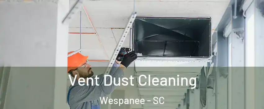 Vent Dust Cleaning Wespanee - SC